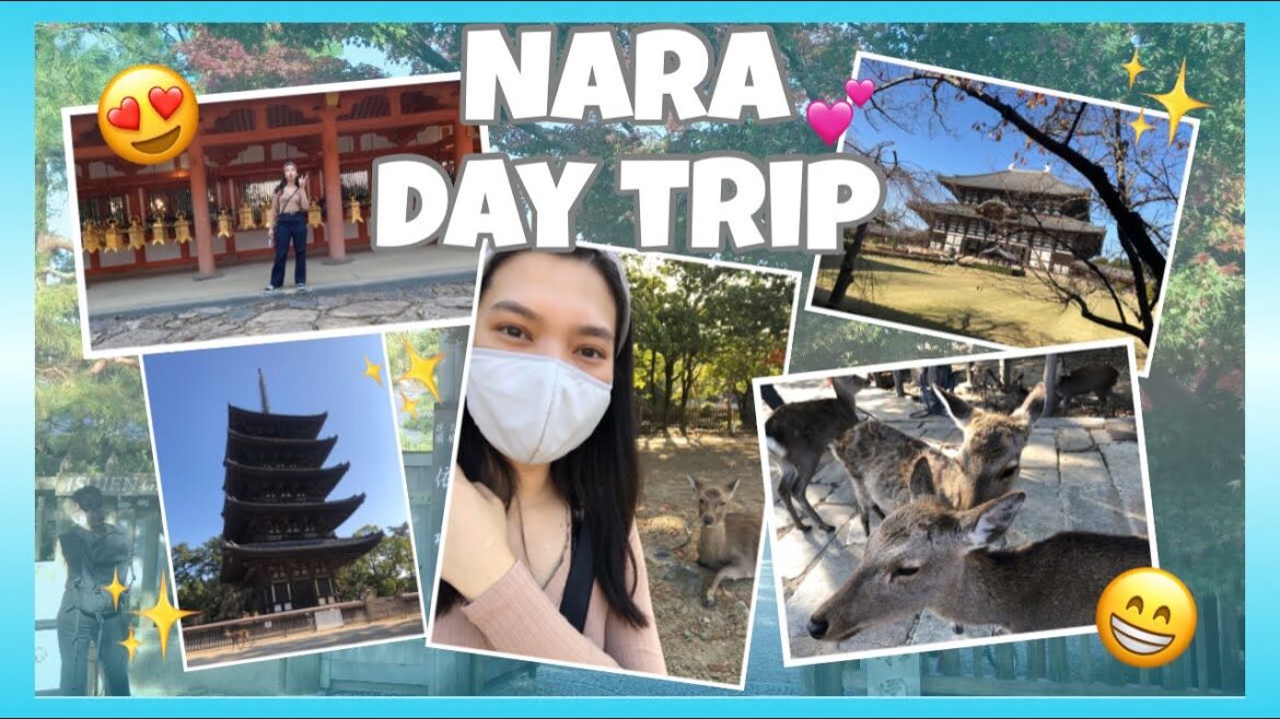 NARA DAY TRIP | JAPAN VLOG | FOREVERMICHANG
