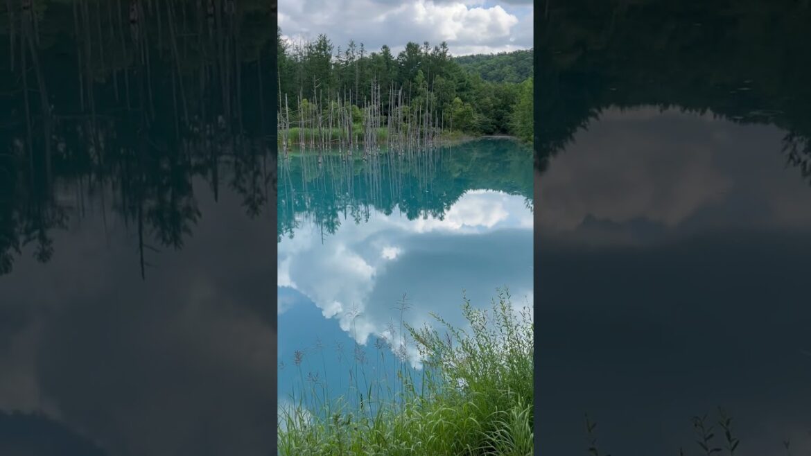 Blue pond in Hokkaido.