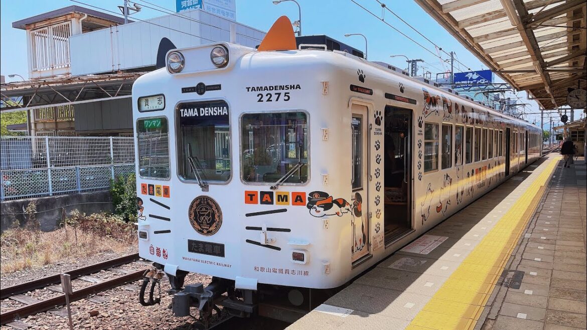 Ride on a local train in Japan that has become a world-famous tourist destination 🚃 Tama train Ride on a local train in Japan that has become a world-famous tourist destination 🚃 Tama train