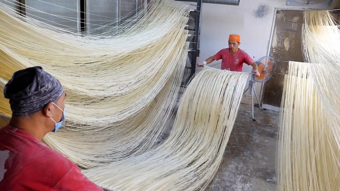 2023년 대만 길거리음식 풀버젼 편하게 몰아보기 - Asian street food