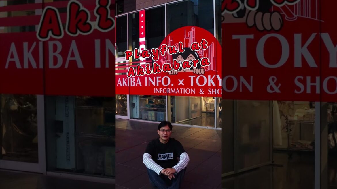 Reminiscing Tokyo + Mount Fuji!