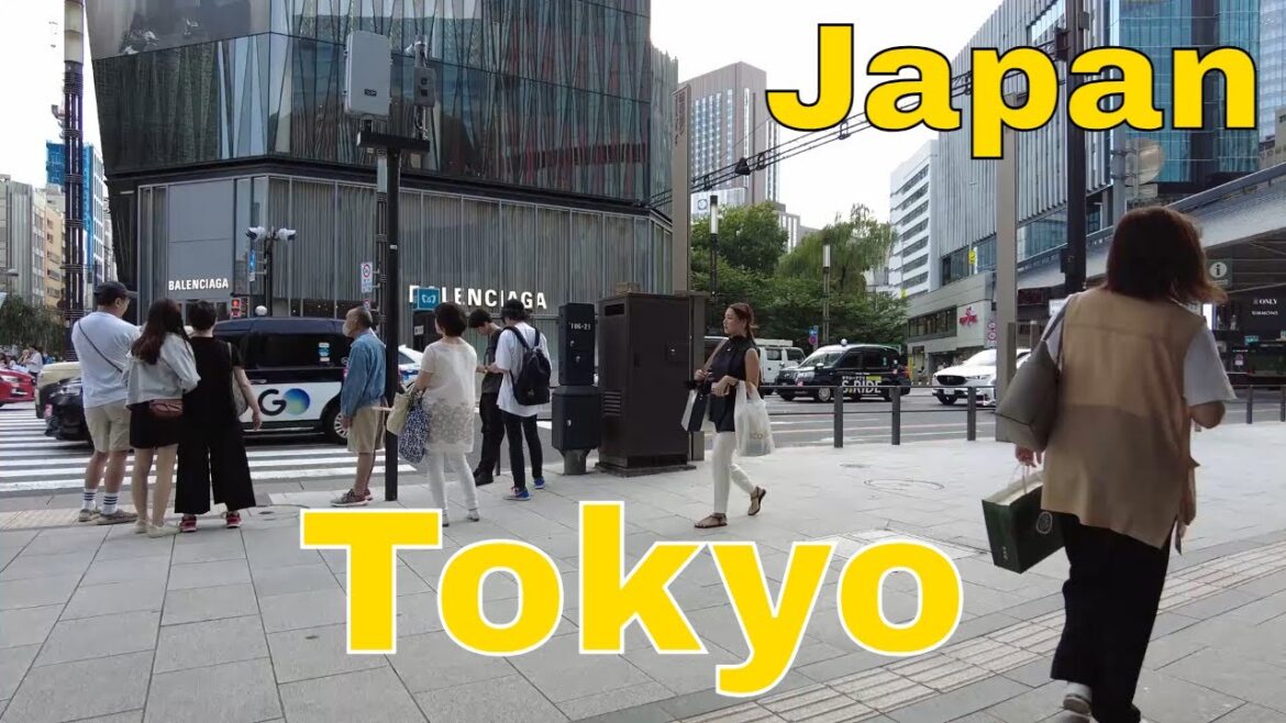 JAPAN| Walk in Tokyo of Japan JAPAN| Walk in Tokyo of Japan