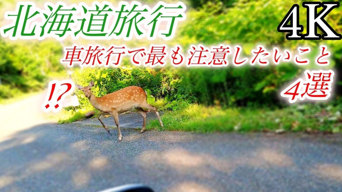 【4K 旅行】北海道ドライブ旅行で注意してほしいこと ４選 / 車旅 フェリー旅 速度制限 鹿キツネ ガソリン / Japan Hokkaido Drive Travel's Note