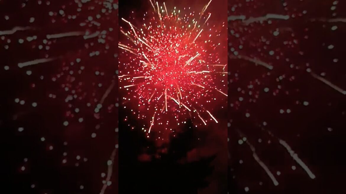 花火大会🎆　 #travel #osaka #osakatrip #hanabi #shorts