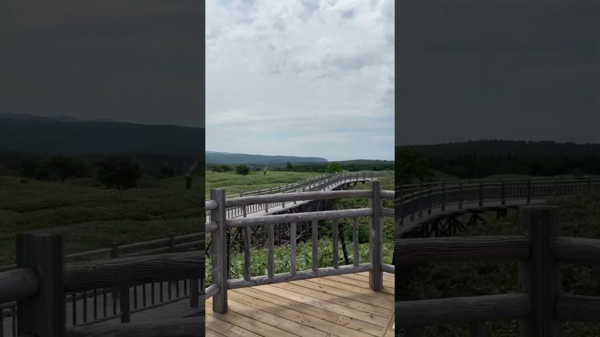 Shiretoko Goko Lake Walk #知床五湖 #shiretoko #japanwalk #walkingtour #hokkaido