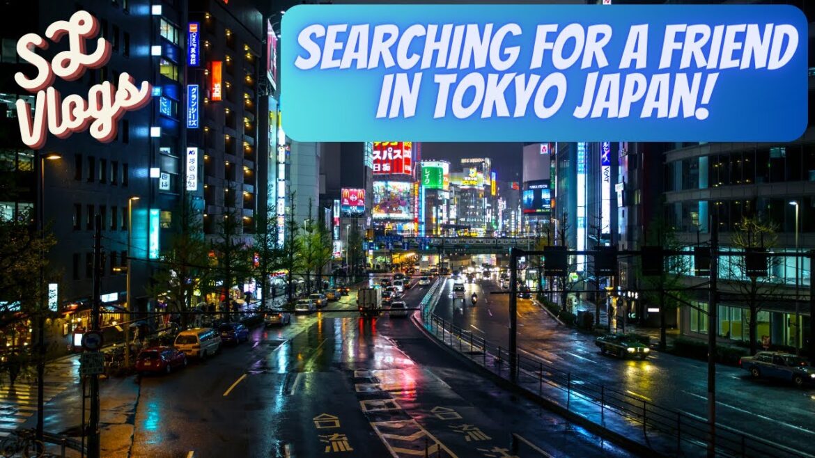 Searching For A Friend In Tokyo + Gigo Arcade Tour! | SL VLOGS JAPAN | (BANNED IN RUSSIA)