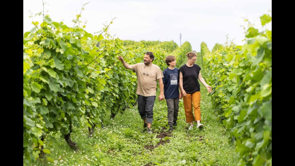 Californian Celebrity Chef Unearths Niseko’s Fascinating Food & Wine Scene