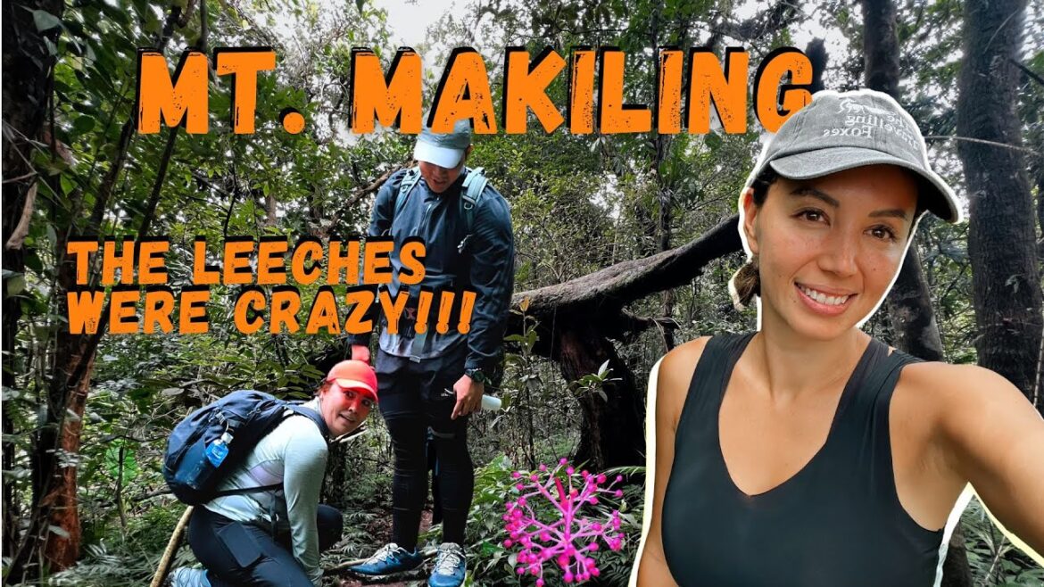 Overcoming Mt. Makiling: Guide for First-Time Hikers