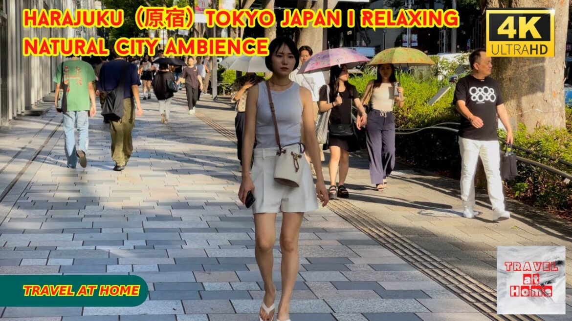 4k hdr japan travel | Walk in Harajuku(原宿)Tokyo japan | Relaxing Natural City ambience 4k hdr japan travel | Walk in Harajuku(原宿)Tokyo japan | Relaxing Natural City ambience