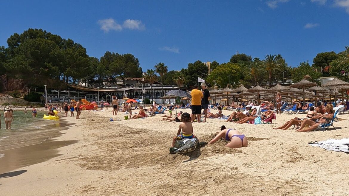 🏖️ Palmanova Beach in Mallorca, Spain 👉 a stunning 4K Walking Tour 🏖️ Palmanova Beach in Mallorca, Spain 👉 a stunning 4K Walking Tour