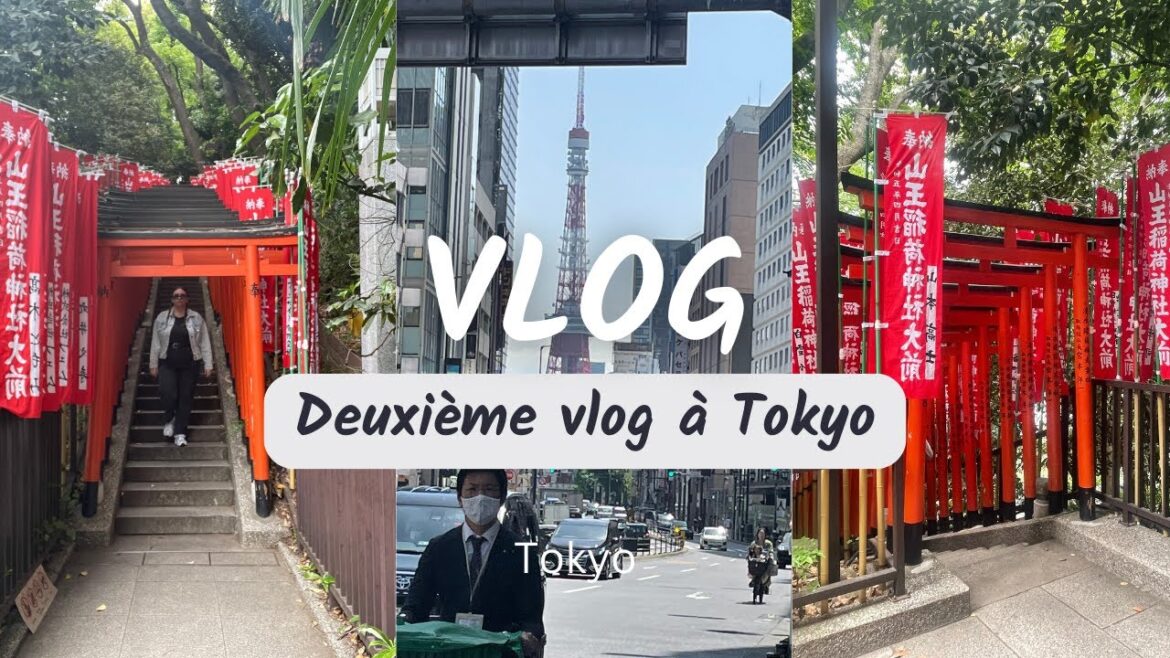 Je visite un lieu emblématique à Tokyo ! #vlog6 ( Tokyo Tower, Shibuya Scramble Crossing ) #japon Je visite un lieu emblématique à Tokyo ! #vlog6 ( Tokyo Tower, Shibuya Scramble Crossing ) #japon