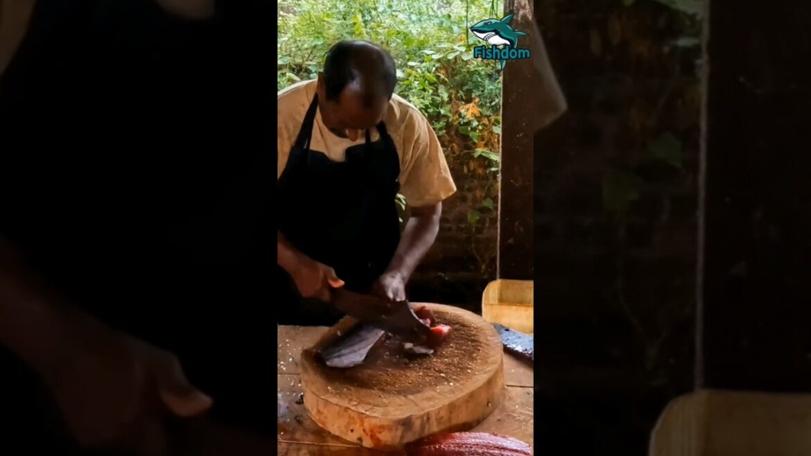 Amazing π² ! Skipjack tuna fish cutting #fishcuttingskill #fishcutting #fish #skipjacktuna #skipjack Amazing π² ! Skipjack tuna fish cutting #fishcuttingskill #fishcutting #fish #skipjacktuna #skipjack