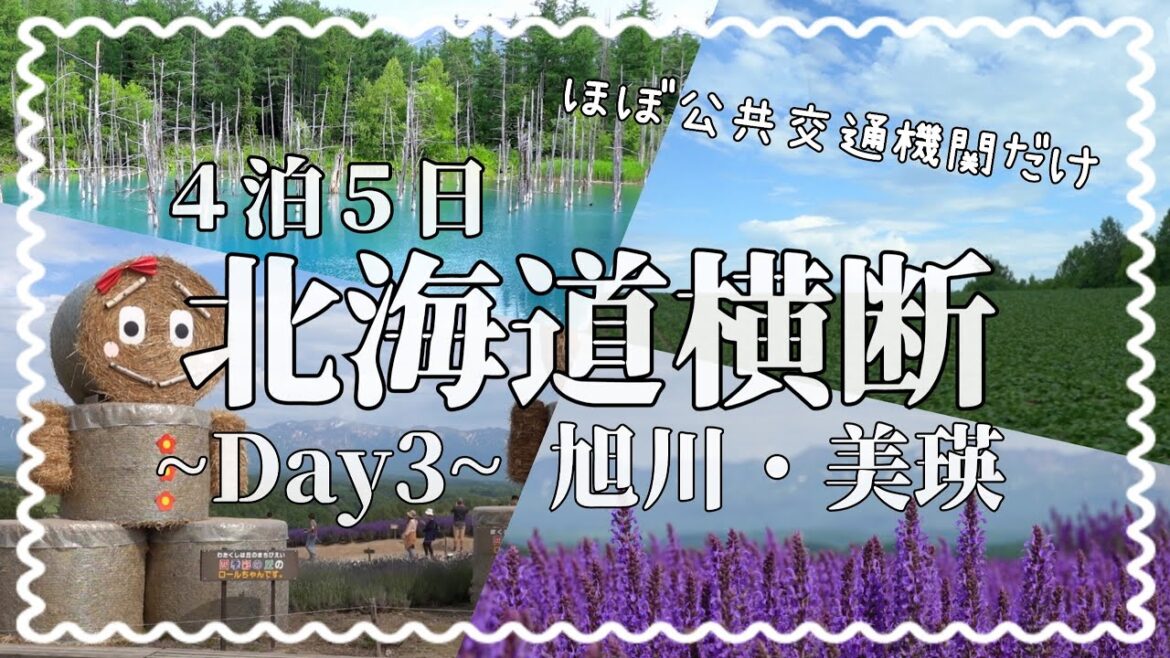 【北海道横断】-day3- 美瑛・旭川 / 4泊5日ほぼ公共交通機関だけで北海道を横断! / 歴史・絶景・グルメ・大移動の3日目/ 旅行vlog 【北海道横断】-day3- 美瑛・旭川 / 4泊5日ほぼ公共交通機関だけで北海道を横断! / 歴史・絶景・グルメ・大移動の3日目/ 旅行vlog