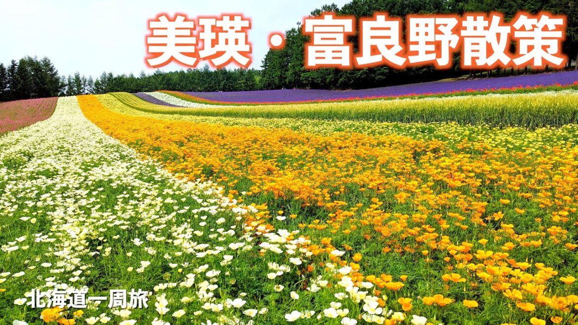 【北海道1周】シーズンど真ん中の美瑛・富良野を巡る!!｜白金青い池｜ファーム富田｜パッチワークのパッチワークの路｜ドライブ｜田舎暮らし｜北海道｜4K