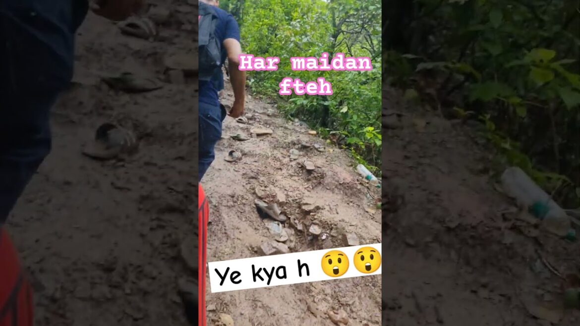 kar har maidan fteh amazing climbing #viral #climbing #shortsfeed #ytshorts #shorts #haridwar kar har maidan fteh amazing climbing #viral #climbing #shortsfeed #ytshorts #shorts #haridwar