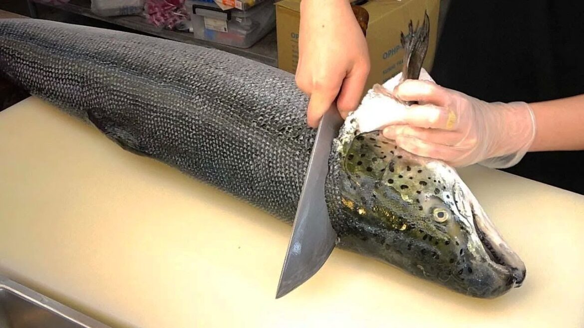 Amazing Tuna , Salmon and Other Fish Cutting Skills   - Taiwan Street Food