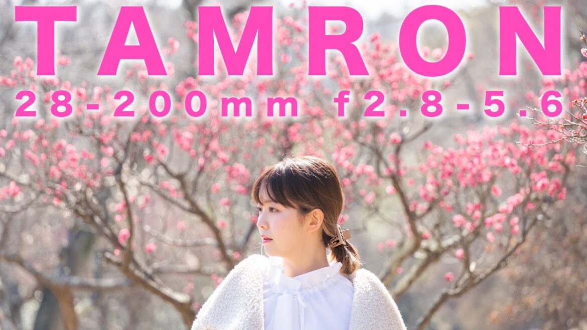 【TAMRON 28-200mm f2.8-5.6】絞り値による描写をチェック！開放と絞り込んだ時でどう違うのか？ α7sⅢ