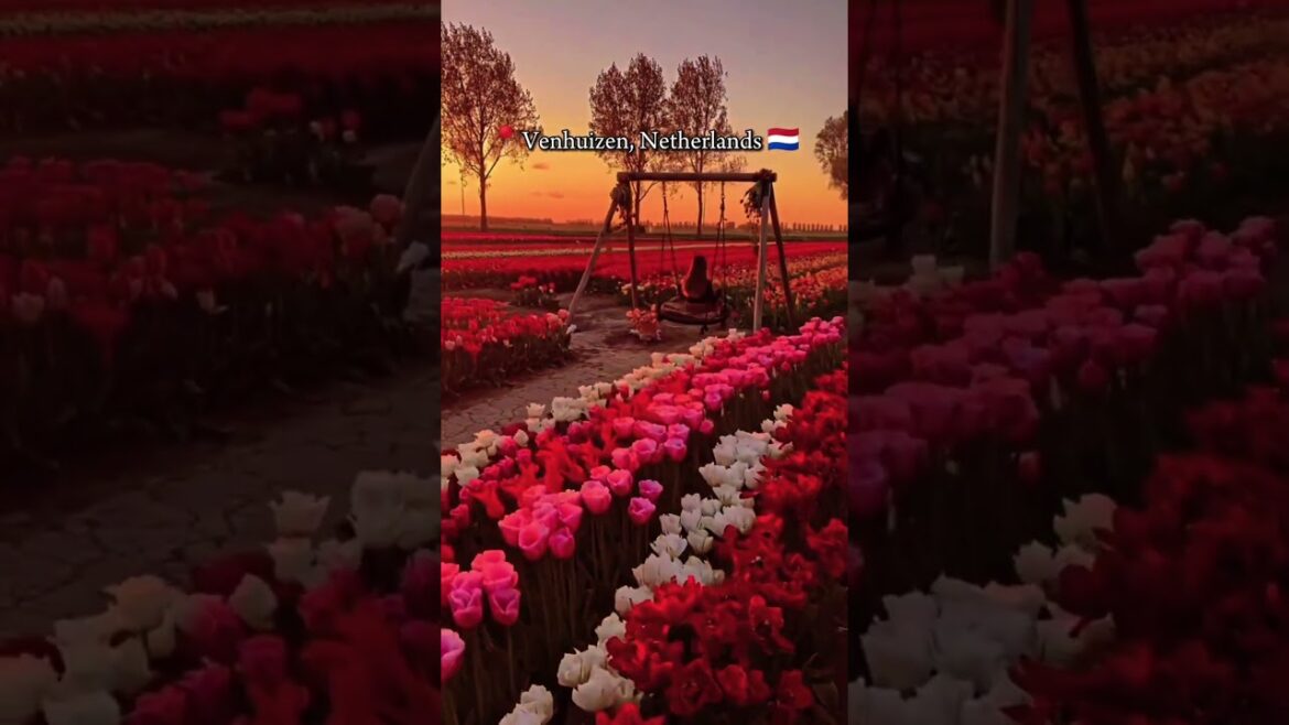 unreal places part 67 unreal places part 67