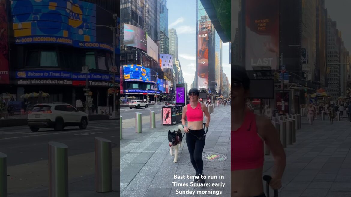 Running in Times Square with my Akita Dog🐕