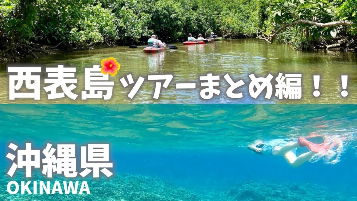 沖縄県西表島でツアー体験！まとめ編！バラス島でシュノーケリングやカヌーでピナイサーラの滝へ！Tour experience in Iriomote Island, Okinawa Prefecture