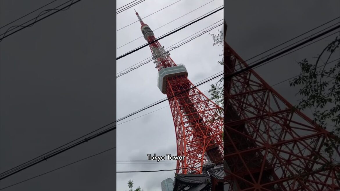 Tokyo: Top 5 Observatories