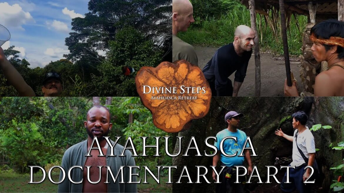 Divine Steps Ayahuasca Retreat The documentary II