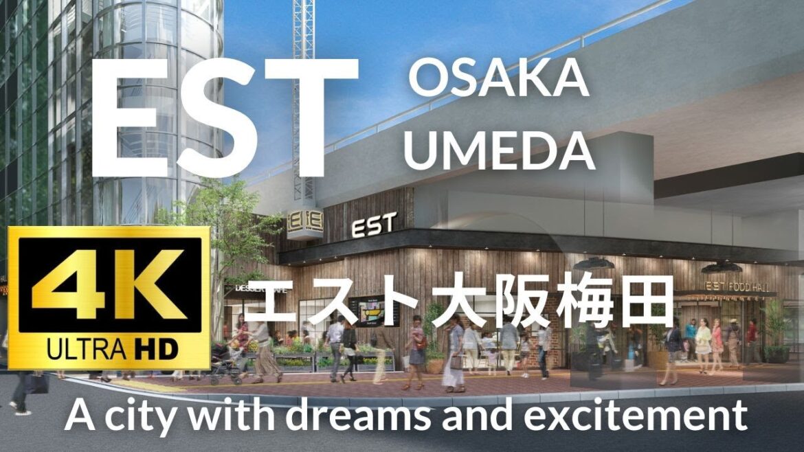 【4K】EST OSAKA UMEDA エスト大阪梅田 Osaka Japan