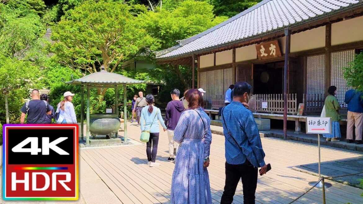 Meigetsuin Temple in Kamakura Japan | Walking Tour π Meigetsuin Temple in Kamakura Japan | Walking Tour π