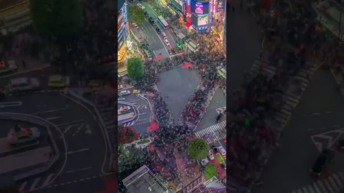 📍 Shibuya, Tokyo, Japan