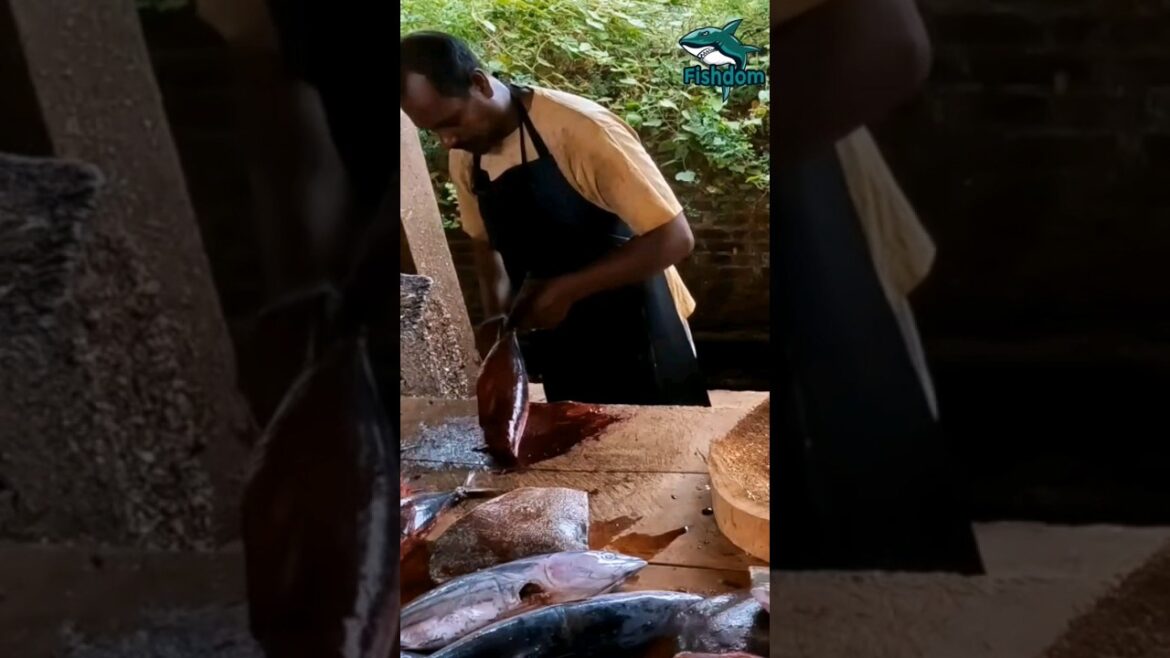 Superrr π² ! Skipjack tuna fish cutting #fishcuttingskill #fishcutting #fish #skipjacktuna #skipjack Superrr π² ! Skipjack tuna fish cutting #fishcuttingskill #fishcutting #fish #skipjacktuna #skipjack
