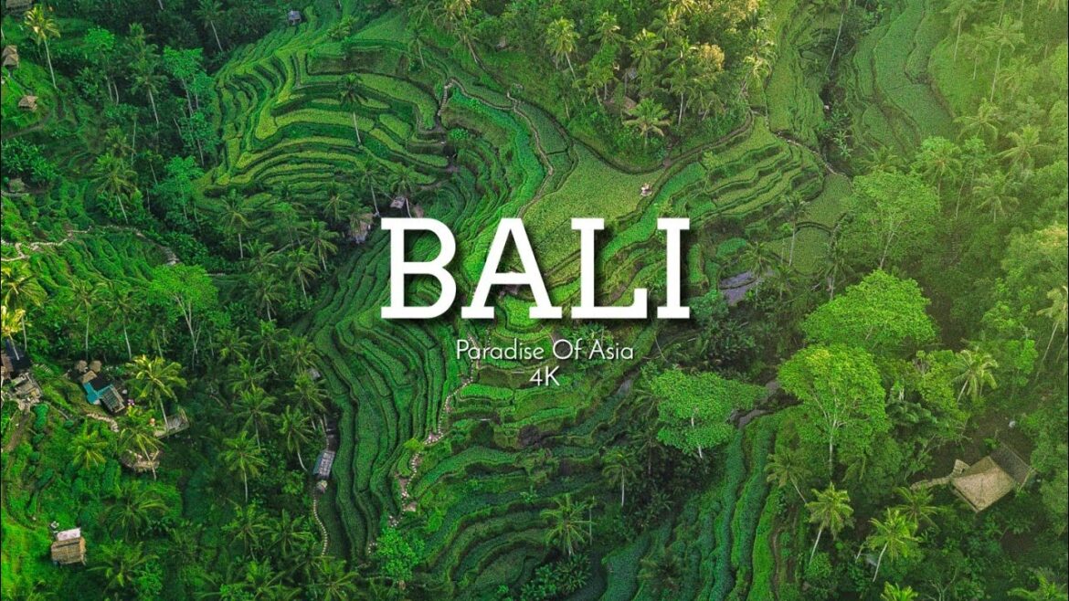 Bali Indonesia 4k - Paradise of Asia #bali #indonesia #4k #asia