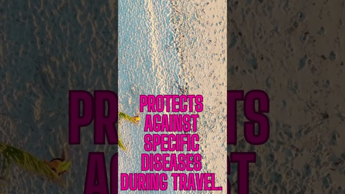 Travel Vlog52|travel vlogger|travel vlogger| indian vlogger Travel Vlog52|travel vlogger|travel vlogger| indian vlogger