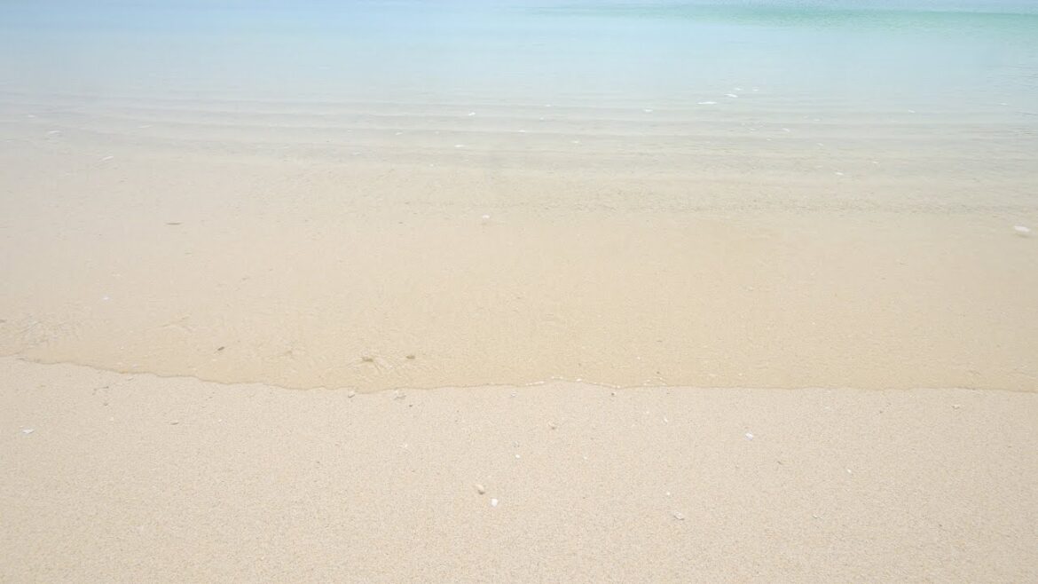 Sonmin-no-hama beach③(Okinawa, Japan)/ Wave Sounds / 村民の浜③(沖縄県 今帰仁)/ 波の音 / 環境音 / 自然音と4K映像 Sonmin-no-hama beach③(Okinawa, Japan)/ Wave Sounds / 村民の浜③(沖縄県 今帰仁)/ 波の音 / 環境音 / 自然音と4K映像