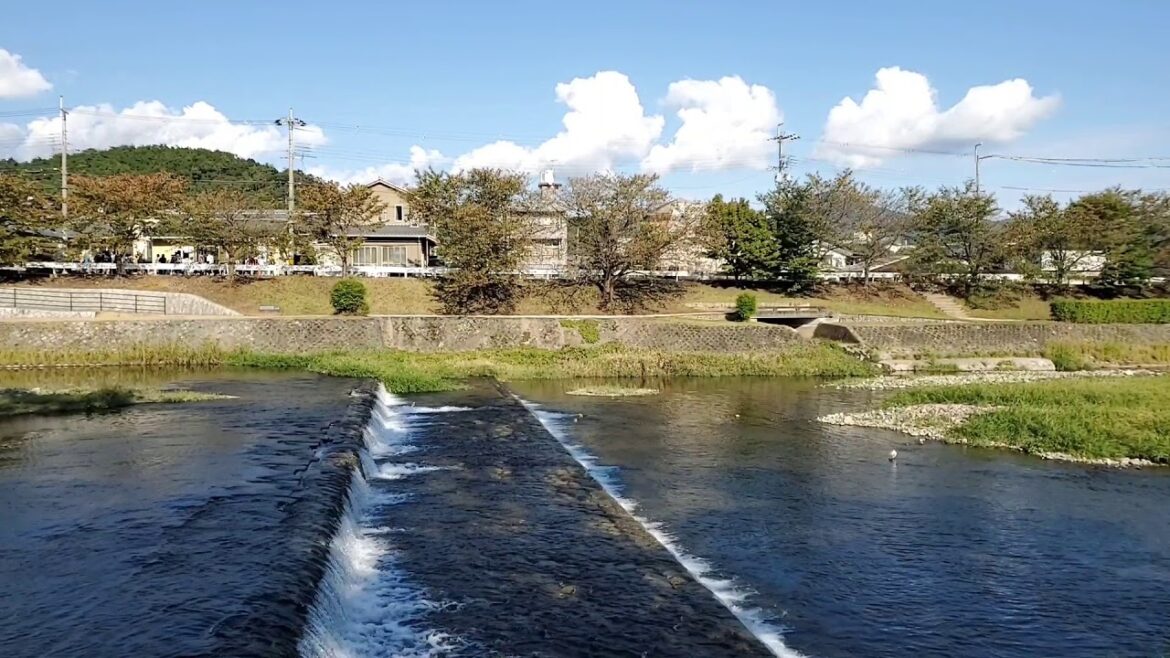 Kamogawa River 鴨川, Kyoto City