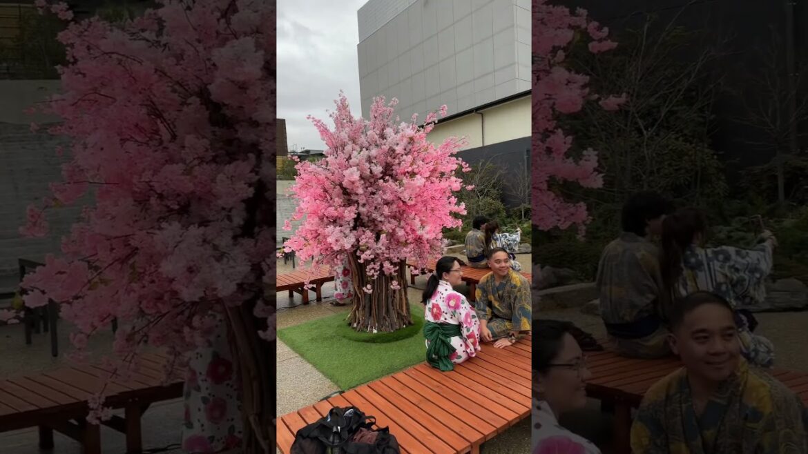 Hot Spring in #osaka #japan #travel #2023 #hotspring #beer #relaxing #explore #shorts
