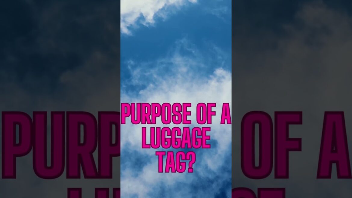 Travel Vlog37|travel vlogger|travel vlogger| indian vlogger Travel Vlog37|travel vlogger|travel vlogger| indian vlogger