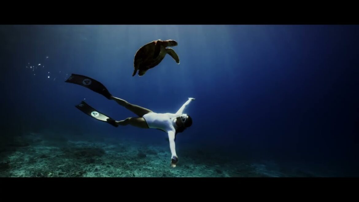 [Short] Amazing Nature | TIMELESS OKINAWA AWAITS | Be.Okinawa 2021