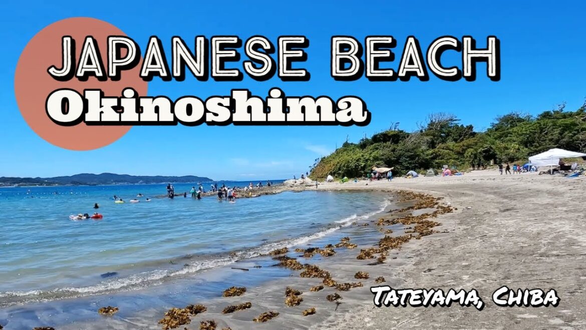 Amazing Japanese Beach, Okinoshima, Chiba: Exploring, snorkeling, caves, ww2 bunkers. 千葉県館山市沖ノ島 #Fun