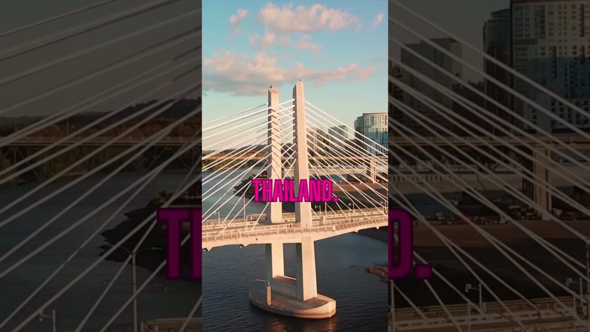 Travel Vlog50|travel vlogger|travel vlogger| indian vlogger Travel Vlog50|travel vlogger|travel vlogger| indian vlogger