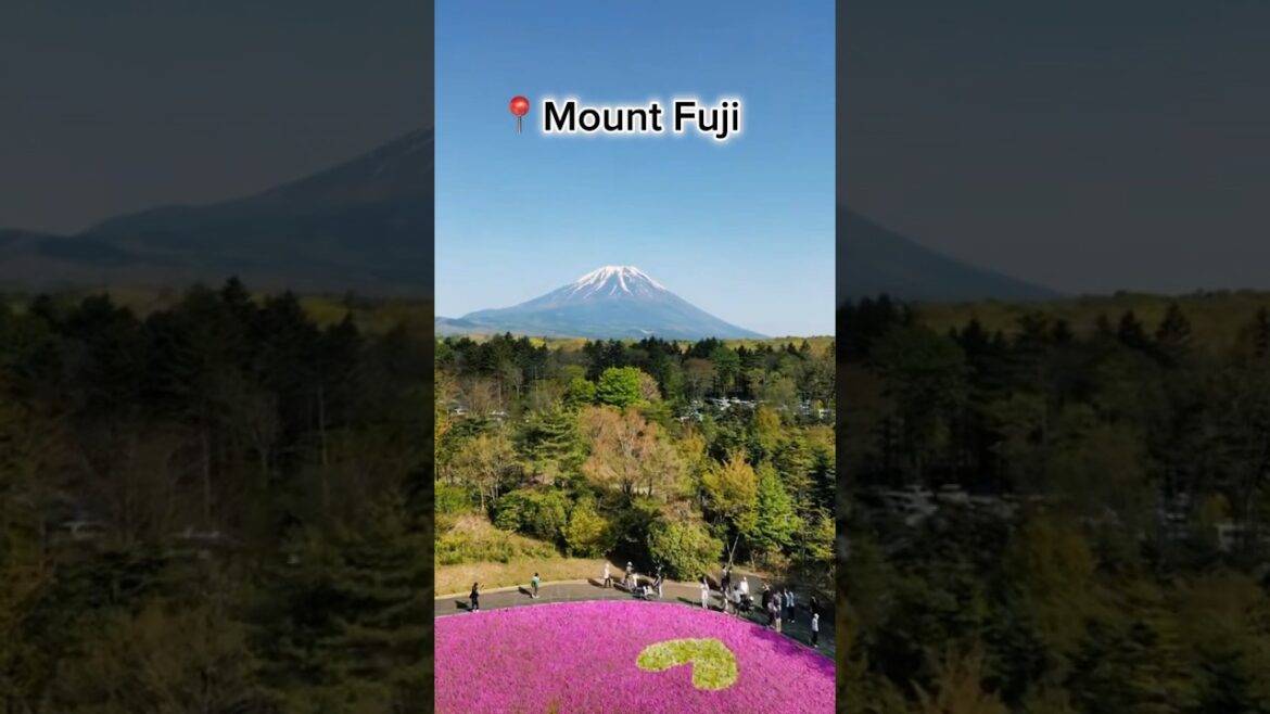 Japan is soo beautiful π―π΅π #nature #adventure #explore #travel #shorts #relaxing #tiktok Japan is soo beautiful π―π΅π #nature #adventure #explore #travel #shorts #relaxing #tiktok