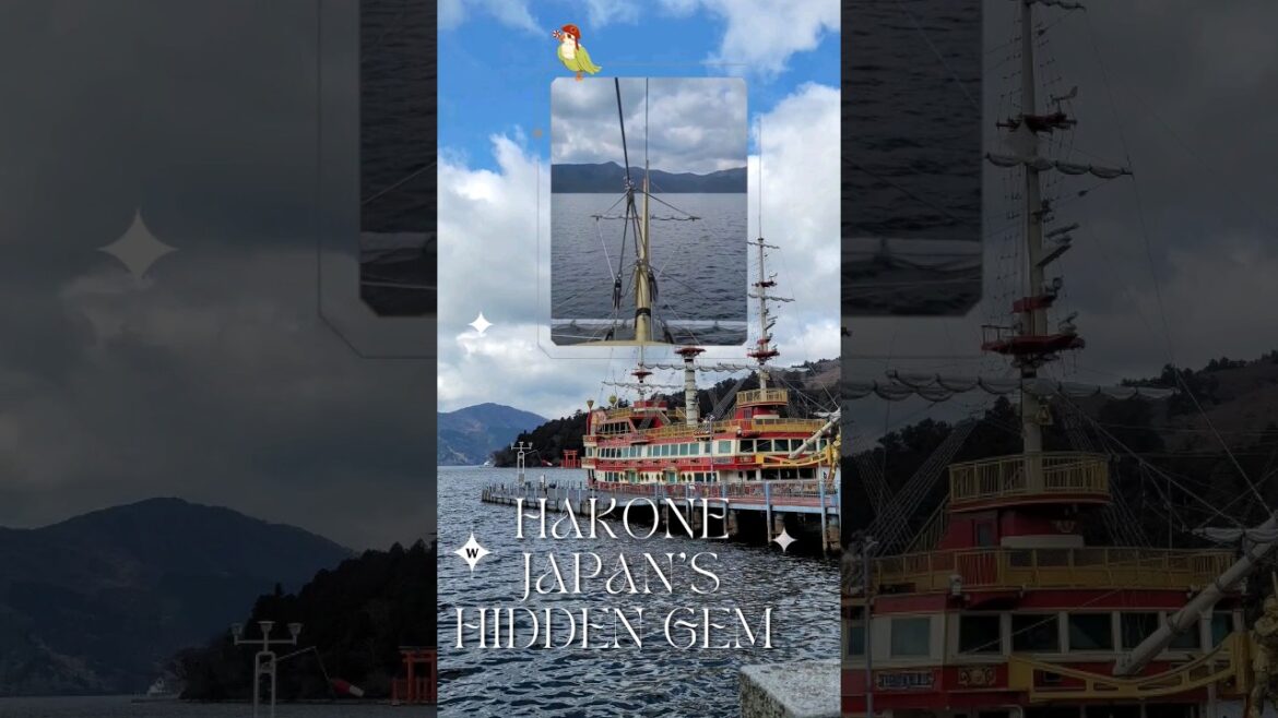 This is what a one day trip from Tokyo to Hakone looks like #japan #hakone #japantravel #箱根 #日本旅行