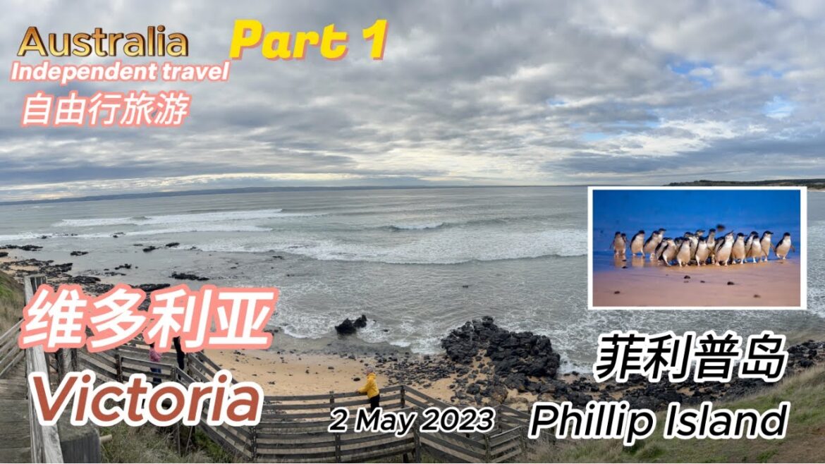 Australia Tour,  Phillip Island ~ 澳大利亚,  菲利普岛 自由行旅游 ~  May 2023