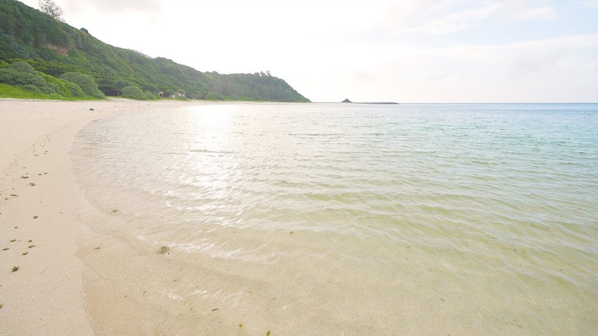 Sonmin-no-hama beach ①(Okinawa, Japan)/ Wave Sounds / 村民の浜①(沖縄県 今帰仁)/ 波の音 / 環境音 / 自然音と4K映像 Sonmin-no-hama beach ①(Okinawa, Japan)/ Wave Sounds / 村民の浜①(沖縄県 今帰仁)/ 波の音 / 環境音 / 自然音と4K映像