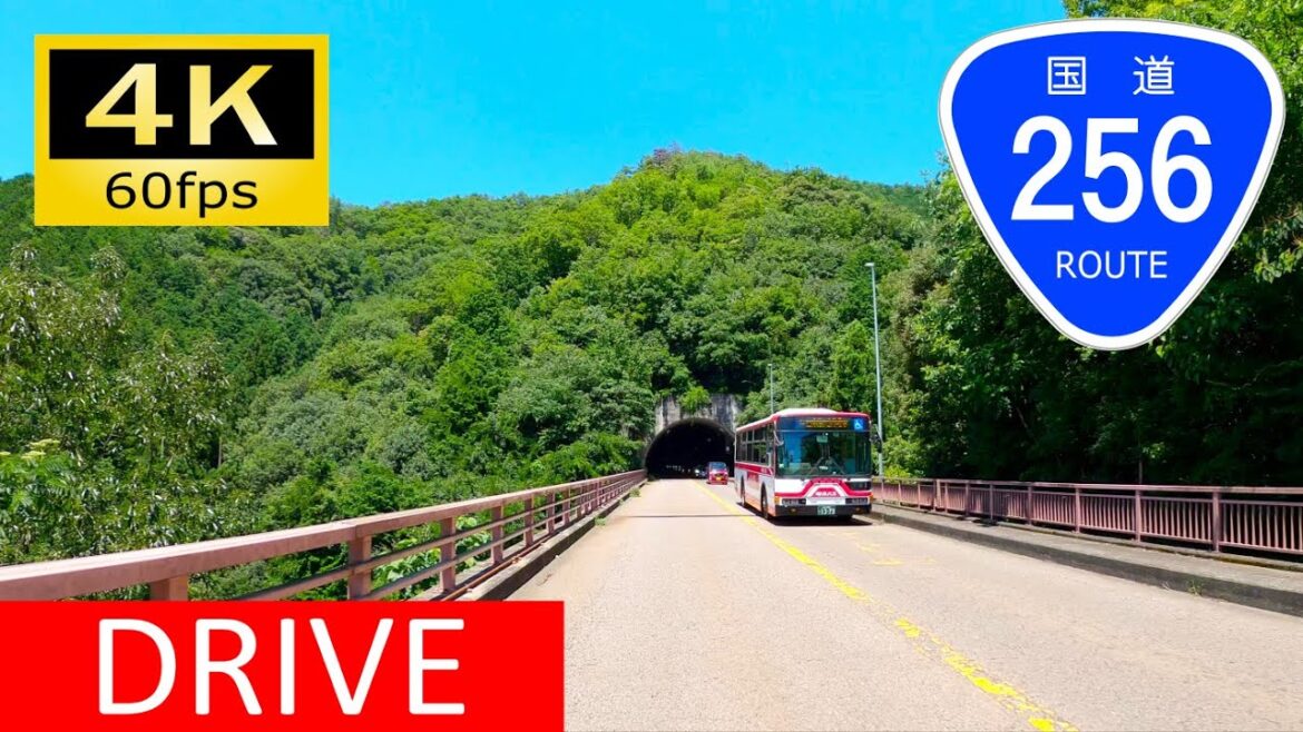 【Driving in Japan】National Route 256: Gifu - Horado, Gifu（車載動画 国道256号 岐阜～洞戸）[4K]