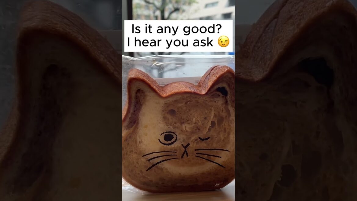 Solo Travel Vlog- What I Ate in Japan: Nekoneko Shokupan (Cat Shaped Bread) | 日本 福岡 博多駅 #shorts 1/5 Solo Travel Vlog- What I Ate in Japan: Nekoneko Shokupan (Cat Shaped Bread) | 日本 福岡 博多駅 #shorts 1/5