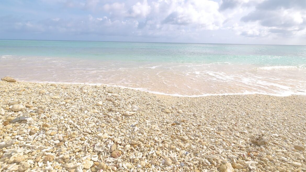 Upsigai Beach①（Okinawa, Japan）/ Wave Sounds / ウプシガイ①（沖縄県 今帰仁）/ 波の音 / 環境音 / 自然音と4K映像