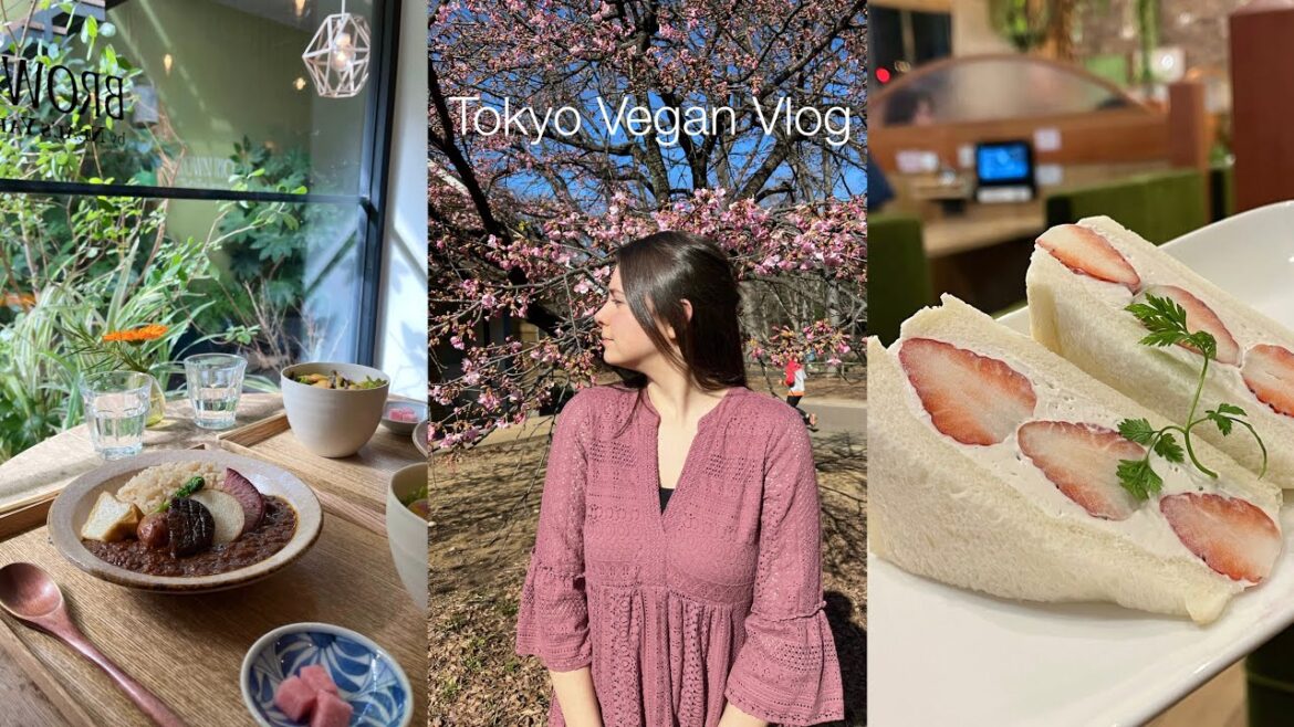 Favorite vegan places in Tokyo π± | Tokyo Vlog – Part 10 Favorite vegan places in Tokyo π± | Tokyo Vlog - Part 10