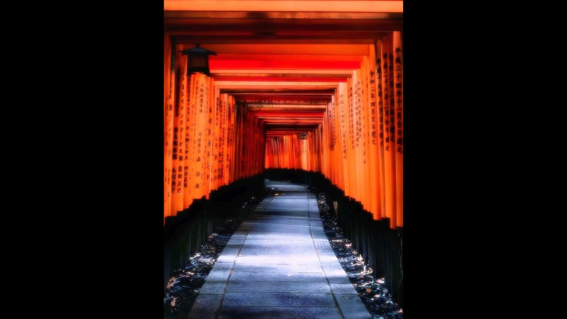 【Japanese Landscape】#shorts #Japan #japanese #view #kyoto