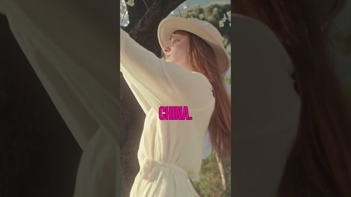 Travel Vlog47|travel vlogger|travel vlogger| indian vlogger Travel Vlog47|travel vlogger|travel vlogger| indian vlogger