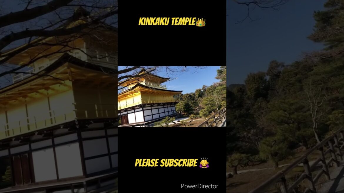 【KYOTO 】Kinkaku Temple #shorts #sightseeing #pleasesubscribe #trip #walking #pleasesupport #tour
